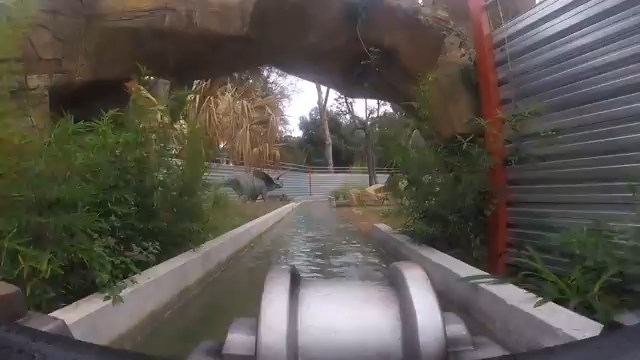 water-coaster